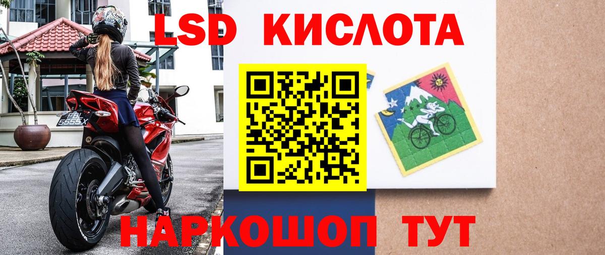 COCAIN Саранск