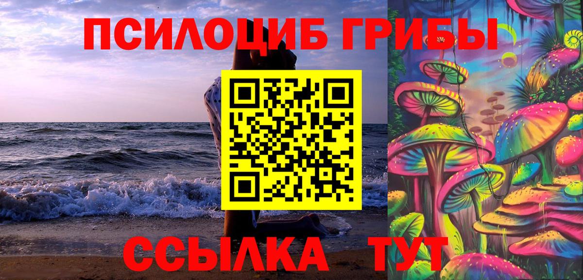 Саранск  Галлюциногенные грибы мицелий  Вход с VPN 